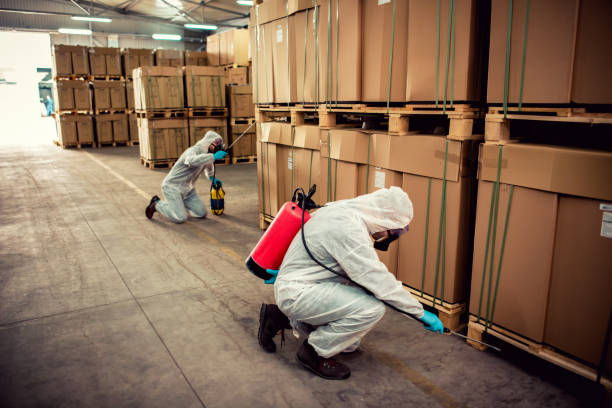  Mason City, IL Pest Control Pros
