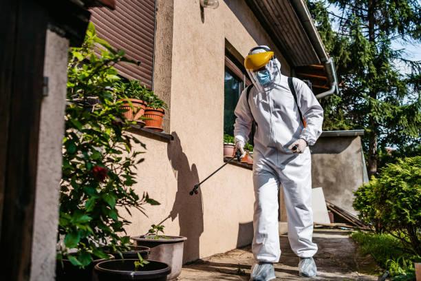 Best Wildlife Control Services  in Mason City, IL