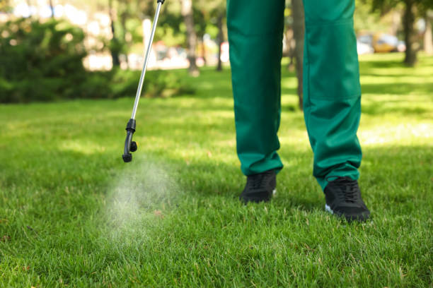Best Spider Control Near Me  in Mason City, IL