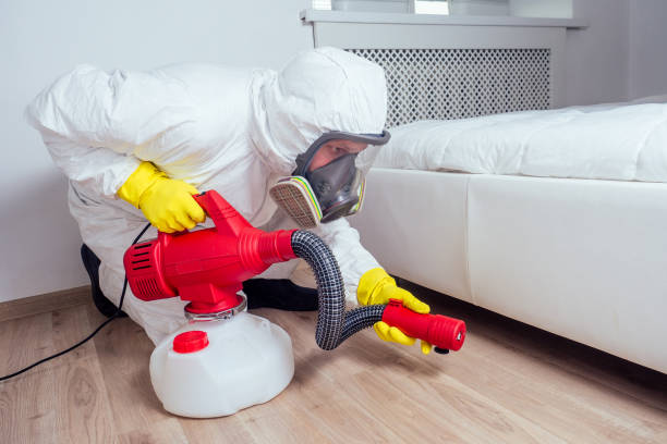 Best Local Pest Control Services  in Mason City, IL