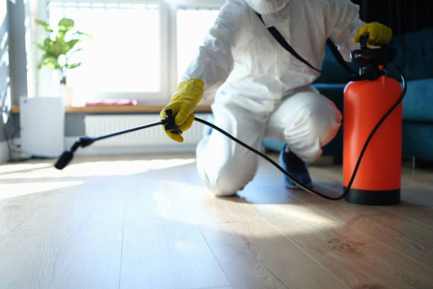 Reliable Mason City, IL Pest Control Solutions