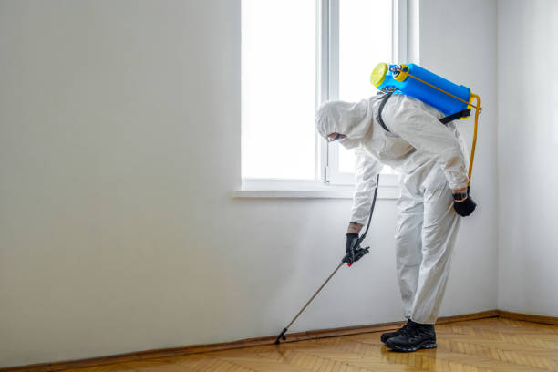 Best Bed Bug Extermination  in Mason City, IL