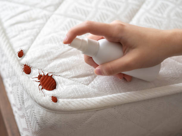 Pest Control for Restaurants in Mason City, IL