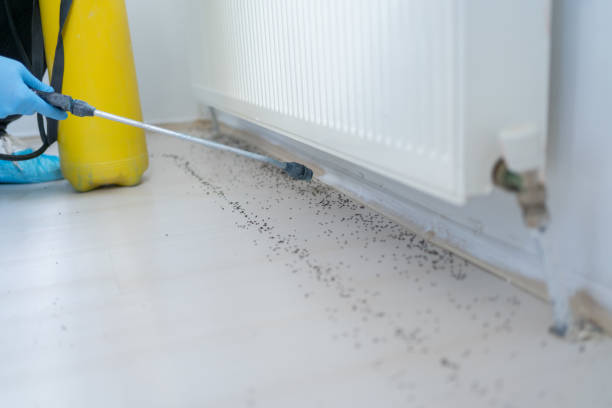 Best Best Pest Control Companies  in Mason City, IL