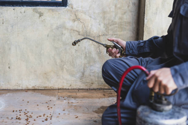 Best Pest Removal Services  in Mason City, IL